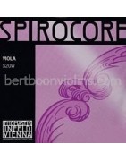 Spirocore viola