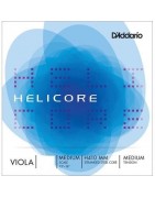 Helicore viola (Long Scale L)